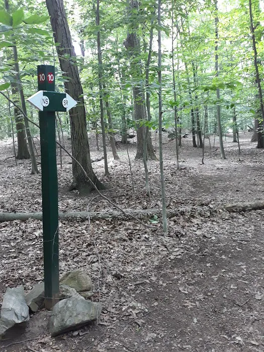 O'Hara Nature Center Picture 6