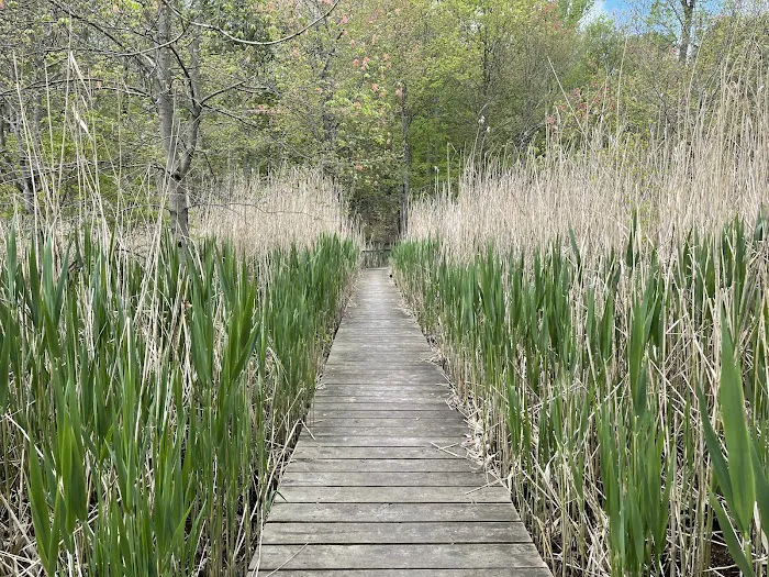 O'Hara Nature Center Picture 8