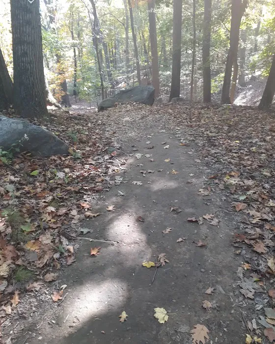 O'Hara Nature Center Picture 2