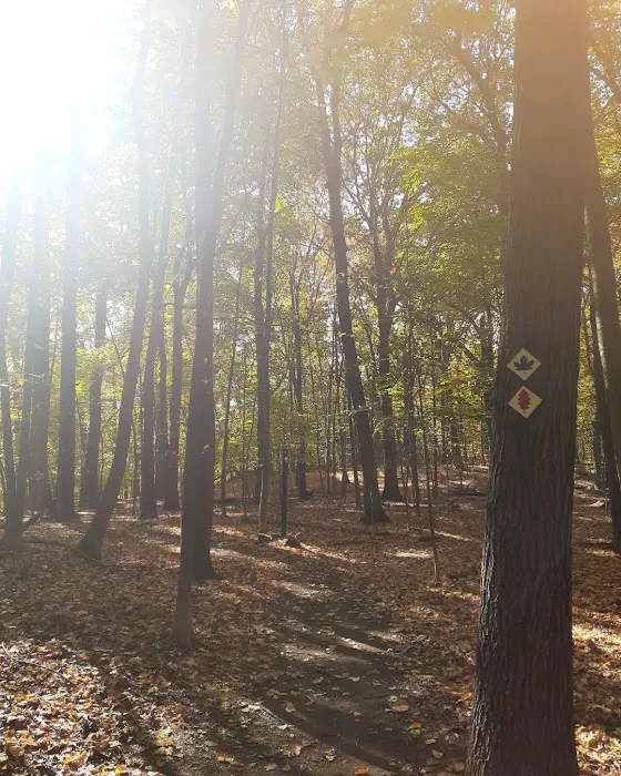 O'Hara Nature Center Picture 4