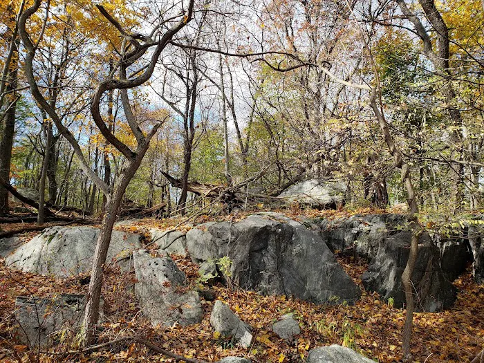 East Irvington Nature Preserve Picture 1