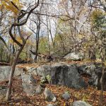East Irvington Nature Preserve