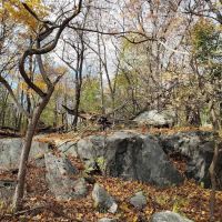 East Irvington Nature Preserve ico