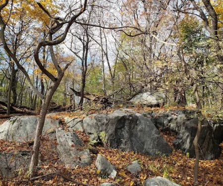 East Irvington Nature Preserve