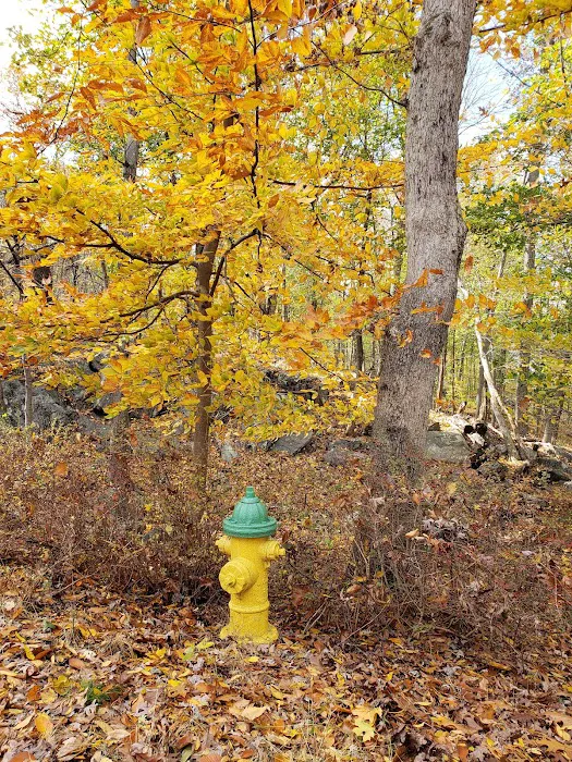 East Irvington Nature Preserve Picture 2
