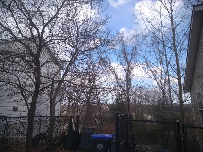 Travis Hill Park Picture 7