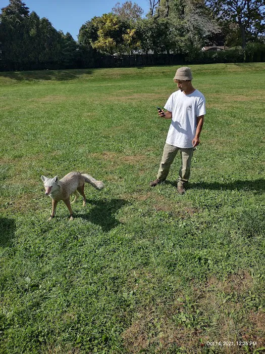 Travis Hill Park Picture 3