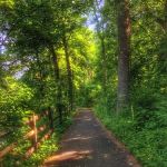 Travis Hill Park