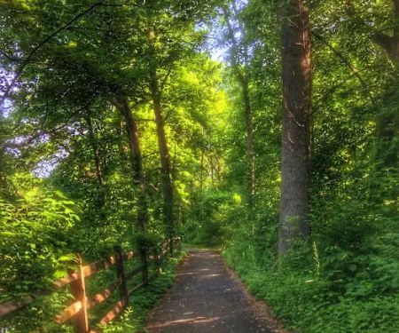 Travis Hill Park