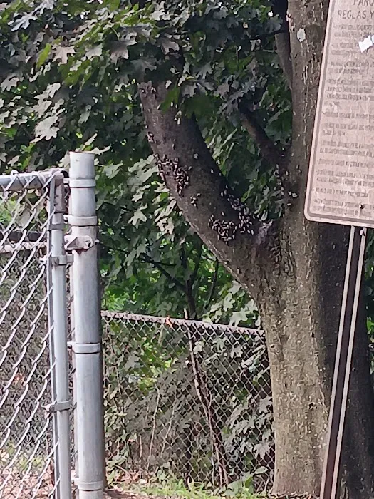 Elmsford Dog Park Picture 4