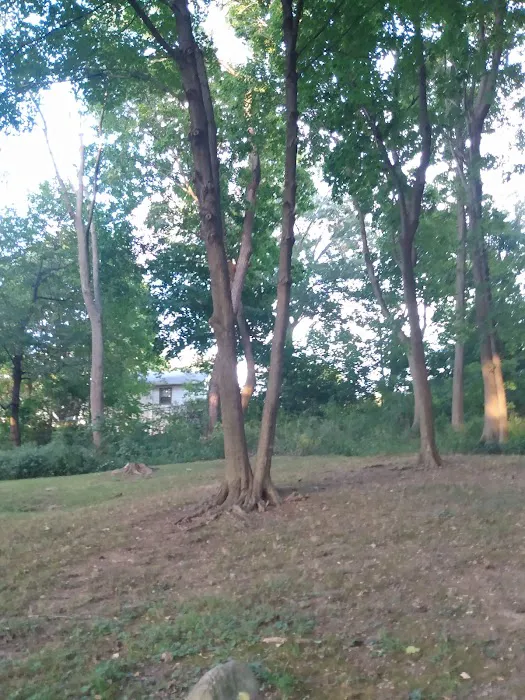Gardella Park Picture 9