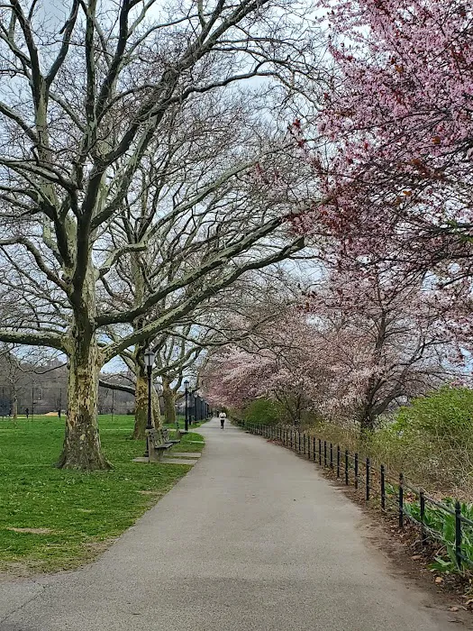 Dyckman Fields Picture 4