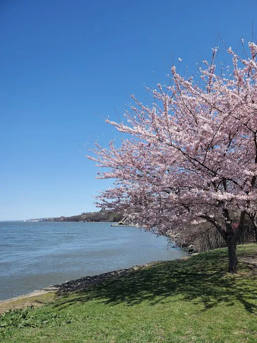Dyckman Fields Picture 2