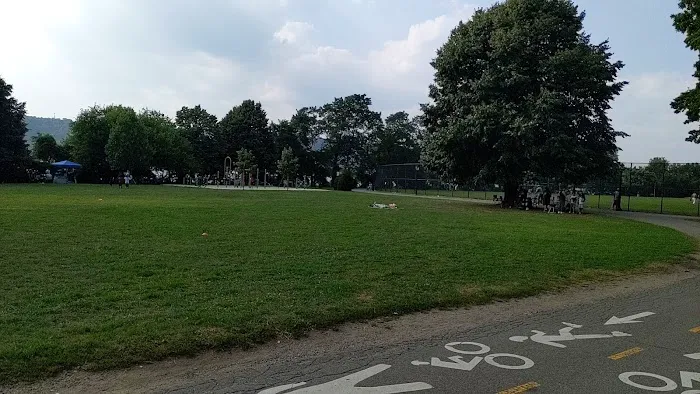 Dyckman Fields Picture 1