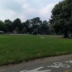 Dyckman Fields
