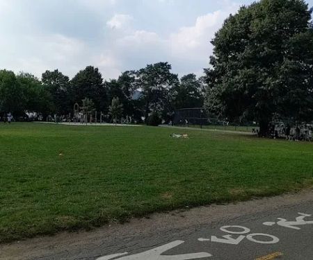 Dyckman Fields