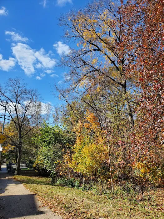 Dyckman Fields Picture 9