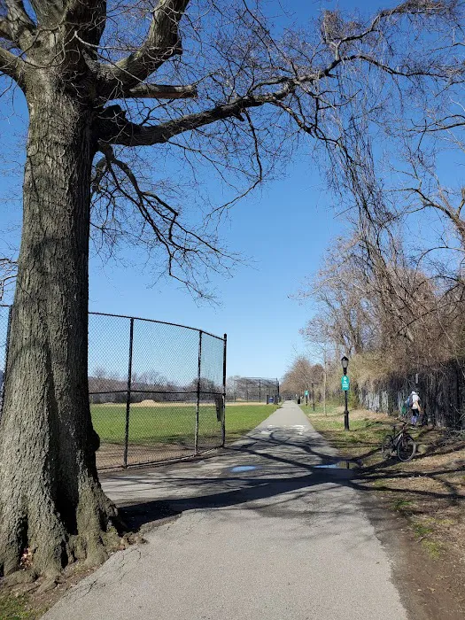Dyckman Fields Picture 10