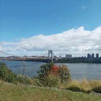Haven Avenue ico