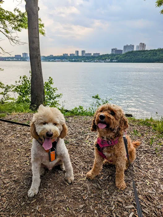 J. Hood Wright Park Dog Run Picture 1