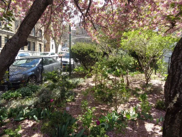 Plaza Lafayette Picture 8