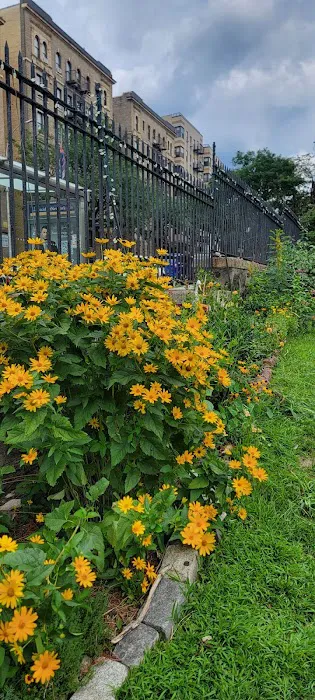 Fort Washington Green Community Garden Picture 7