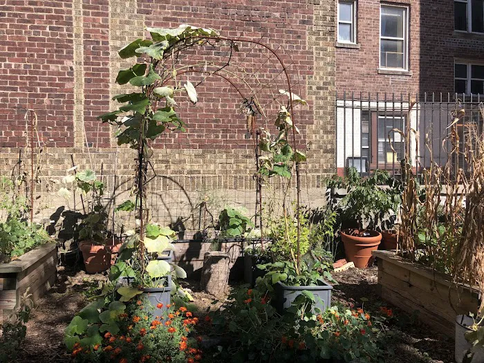 Fort Washington Green Community Garden Picture 1
