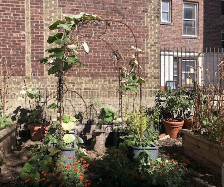 Fort Washington Green Community Garden