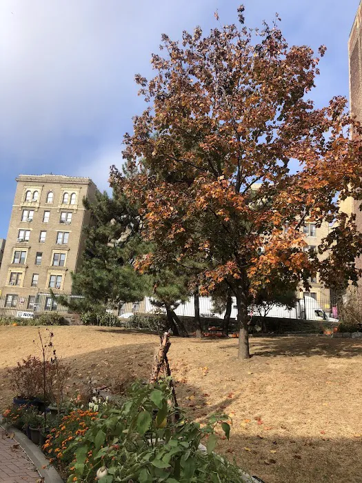 Fort Washington Green Community Garden Picture 5