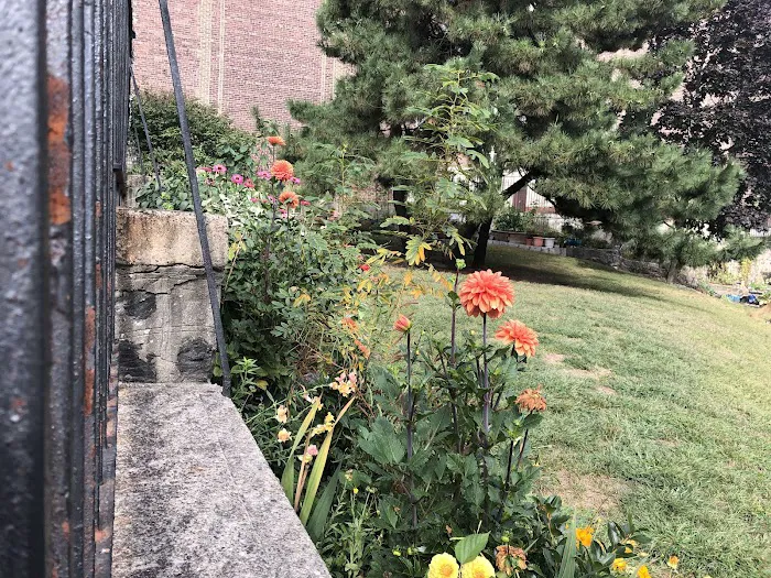 Fort Washington Green Community Garden Picture 9