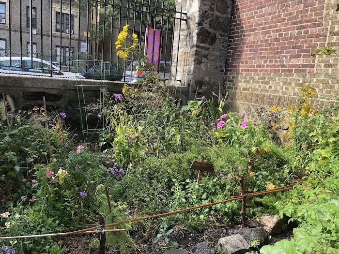 Fort Washington Green Community Garden Picture 10