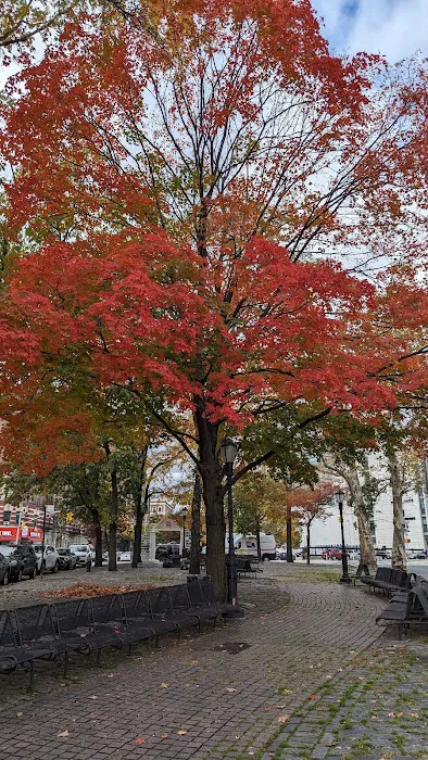 McKenna Square Picture 6
