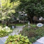 Olivia's magic garden