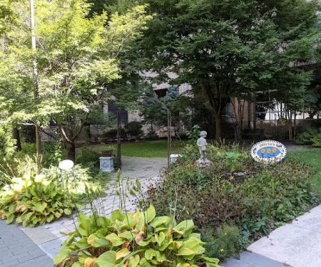 Olivia's magic garden