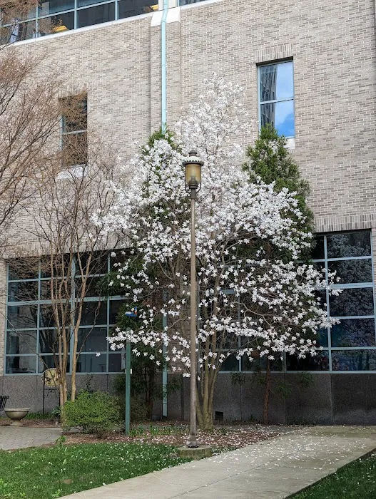New York Presbyterian Morgan Stanley Garden Picture 6