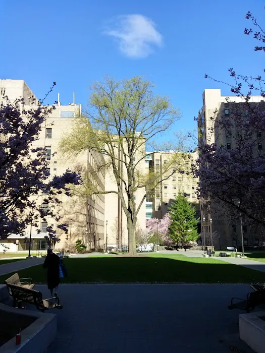 New York Presbyterian Morgan Stanley Garden Picture 4