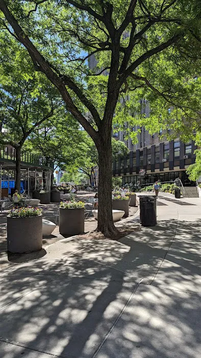 Haven Plaza Picture 5