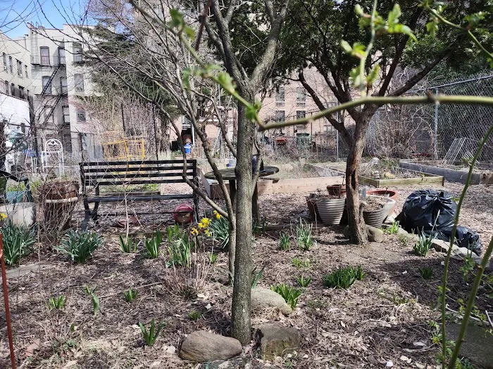 Morris-Jumel Community Garden Picture 2