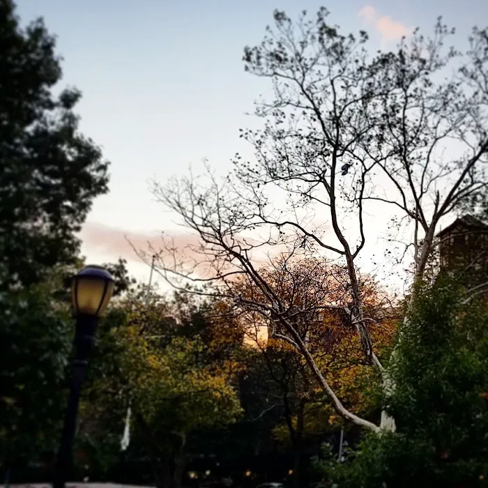 Bennett Park Picture 1