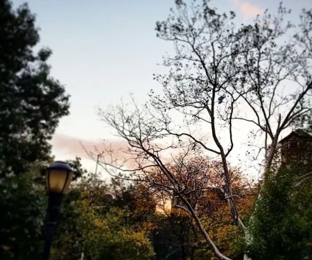 Bennett Park