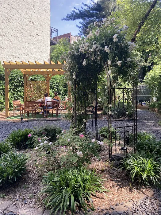 Harlem Rose Garden Picture 7