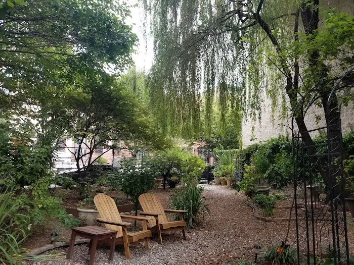 Harlem Rose Garden Picture 10