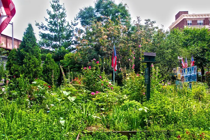 Lydia's Magic Garden (El Gardin Magico de Lydia)) Picture 9