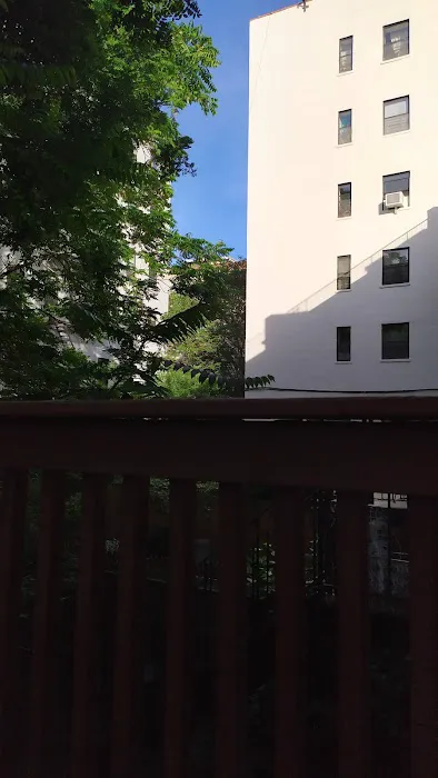 Historic Harlem House Picture 4