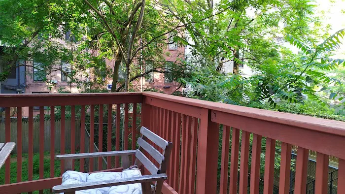 Historic Harlem House Picture 6