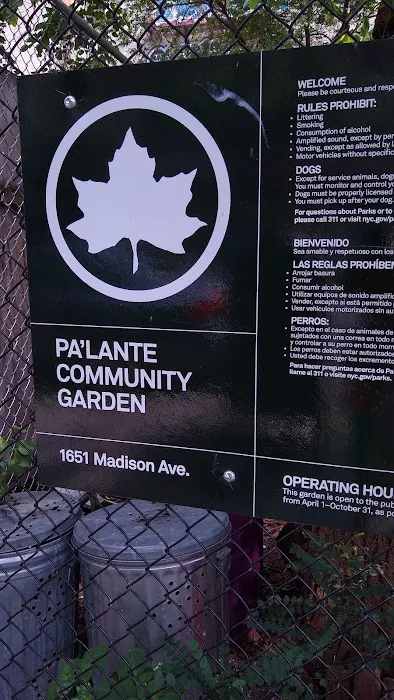Pa'Lante Picture 1