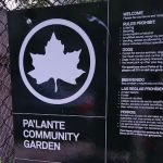 Pa'Lante