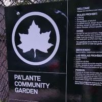 Pa'Lante ico