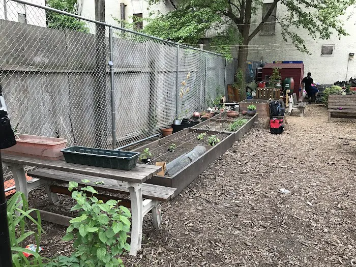 110th Street Block Association Picture 5