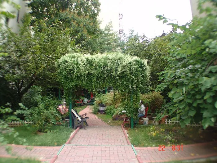 Maggie's Magic Garden Picture 10